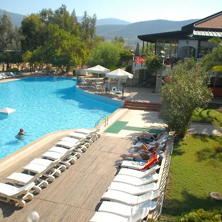 Patio Club アクブク